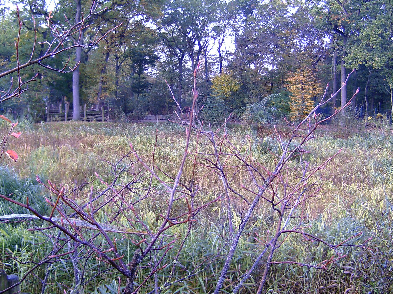 Zoom 18.10.08-015.jpg